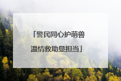 警民同心护萌兽 温情救助显担当