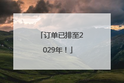 订单已排至2029年！