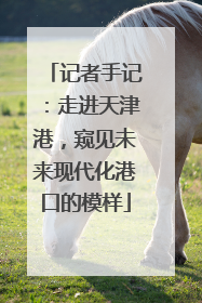 记者手记：走进天津港，窥见未来现代化港口的模样