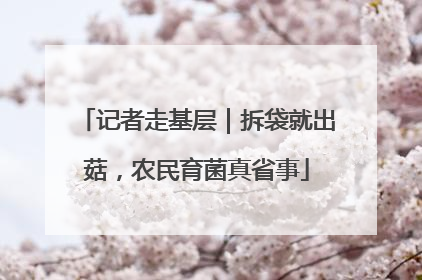 记者走基层｜拆袋就出菇，农民育菌真省事