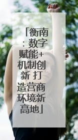 衡南：数字赋能+机制创新 打造营商环境新高地