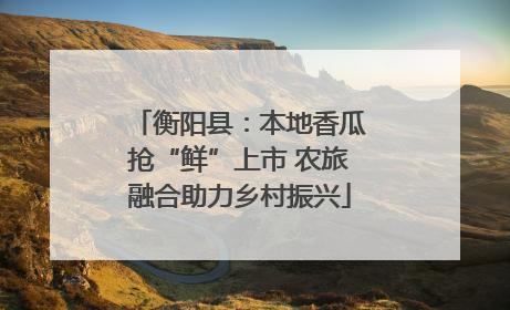 衡阳县：本地香瓜抢“鲜”上市 农旅融合助力乡村振兴