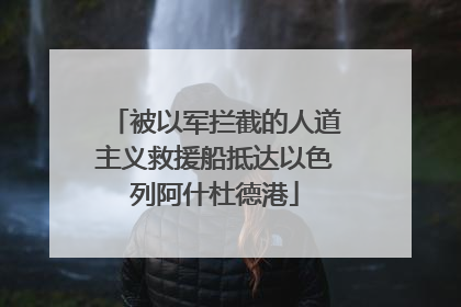 被以军拦截的人道主义救援船抵达以色列阿什杜德港