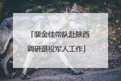 裴金佳带队赴陕西调研退役军人工作