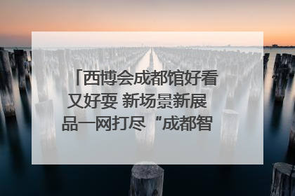 西博会成都馆好看又好耍 新场景新展品一网打尽“成都智造”｜西博视界
