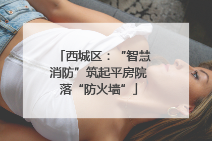 西城区：“智慧消防”筑起平房院落“防火墙”