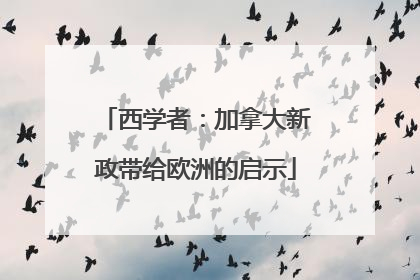 西学者：加拿大新政带给欧洲的启示