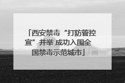 西安禁毒“打防管控宣”并举 成功入围全国禁毒示范城市