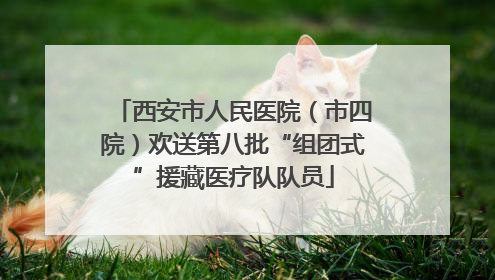 西安市人民医院（市四院）欢送第八批“组团式”援藏医疗队队员