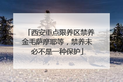 西安重点限养区禁养金毛萨摩耶等，禁养未必不是一种保护