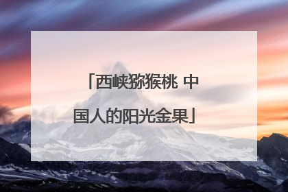 西峡猕猴桃 中国人的阳光金果