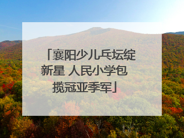 襄阳少儿乓坛绽新星 人民小学包揽冠亚季军