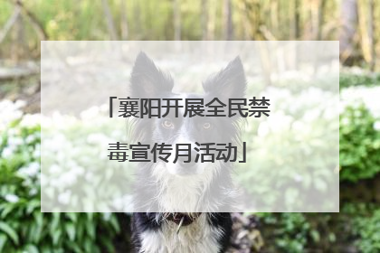 襄阳开展全民禁毒宣传月活动
