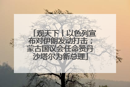 观天下丨以色列宣布对伊朗发动打击；蒙古国议会任命赞丹沙塔尔为新总理
