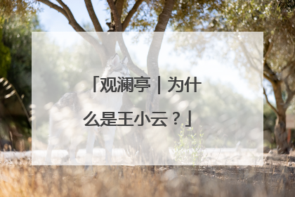 观澜亭｜为什么是王小云？