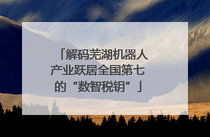 解码芜湖机器人产业跃居全国第七的“数智税钥”