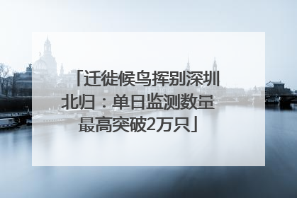 迁徙候鸟挥别深圳北归：单日监测数量最高突破2万只