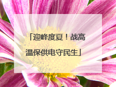 迎峰度夏！战高温保供电守民生