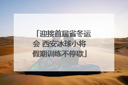 迎接首届省冬运会 西安冰球小将假期训练不停歇