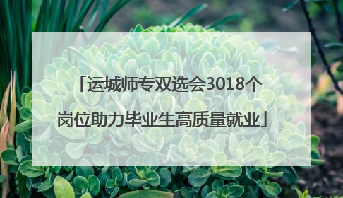 运城师专双选会3018个岗位助力毕业生高质量就业