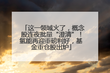 这一领域火了，概念股连夜批量“澄清”！氢能再迎重磅利好，基金重仓股出炉
