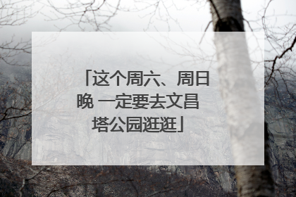这个周六、周日晚 一定要去文昌塔公园逛逛