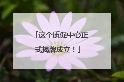 这个质促中心正式揭牌成立！