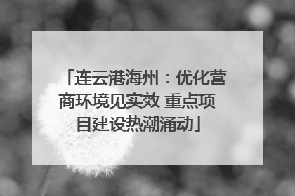 连云港海州:优化营商环境见实效 重点项目建设热潮涌动