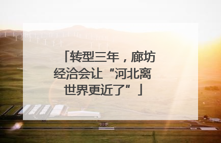 转型三年，廊坊经洽会让“河北离世界更近了”