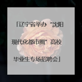 辽宁省举办“沈阳现代化都市圈”高校毕业生专场招聘会