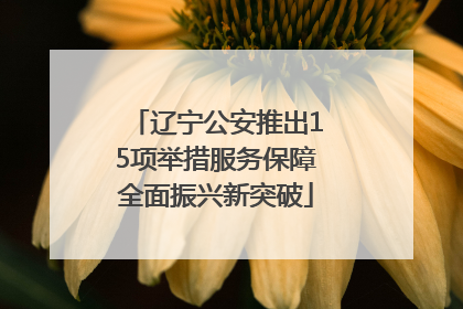 辽宁公安推出15项举措服务保障全面振兴新突破
