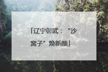 辽宁彰武：“沙窝子”焕新颜