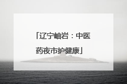 辽宁岫岩：中医药夜市护健康
