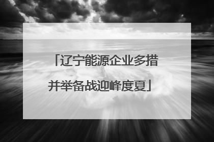 辽宁能源企业多措并举备战迎峰度夏