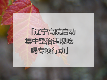 辽宁高院启动集中整治违规吃喝专项行动