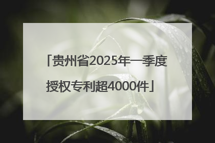 贵州省2025年一季度授权专利超4000件
