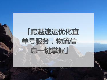 跨越速运优化查单号服务，物流信息一键掌握