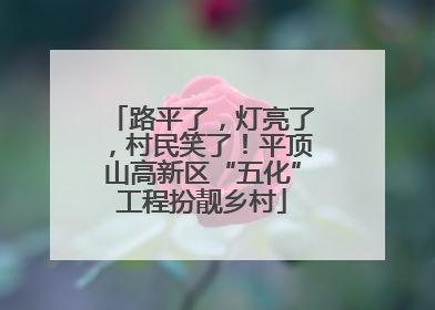 路平了，灯亮了，村民笑了！平顶山高新区“五化”工程扮靓乡村