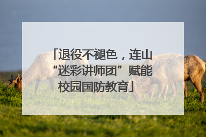 退役不褪色，连山“迷彩讲师团”赋能校园国防教育