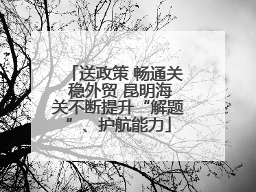 送政策 畅通关 稳外贸 昆明海关不断提升“解题”、护航能力