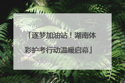 逐梦加油站！湖南体彩护考行动温暖启幕
