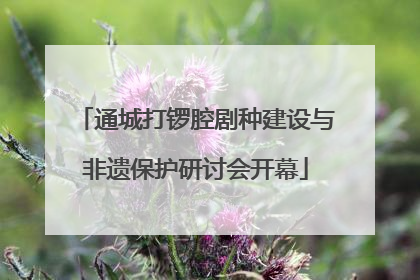 通城打锣腔剧种建设与非遗保护研讨会开幕
