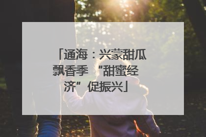 通海：兴蒙甜瓜飘香季 “甜蜜经济”促振兴