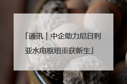 通讯｜中企助力尼日利亚水电枢纽重获新生