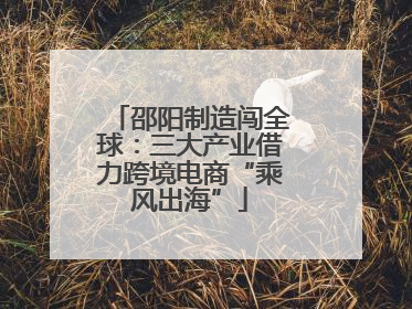 邵阳制造闯全球：三大产业借力跨境电商“乘风出海”