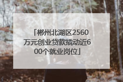 郴州北湖区2560万元创业贷款撬动近600个就业岗位