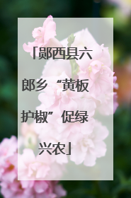 郧西县六郎乡“黄板护椒”促绿兴农
