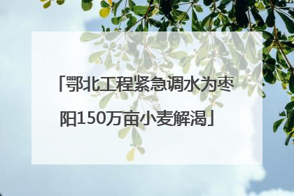 鄂北工程紧急调水为枣阳150万亩小麦解渴