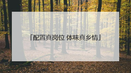 配置真岗位 体味真乡情