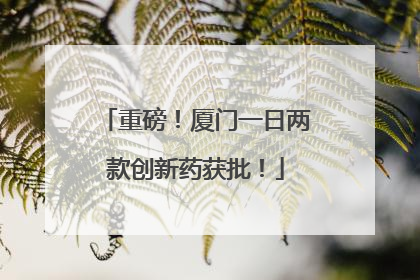 重磅！厦门一日两款创新药获批！
